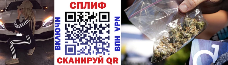 Канабис план  Купить  Шелехов 